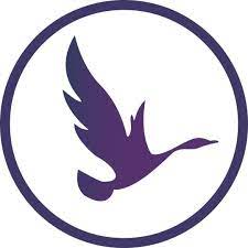 Kontakt na oddelenie affiliate programu OdinSchool - Affiliate Manager