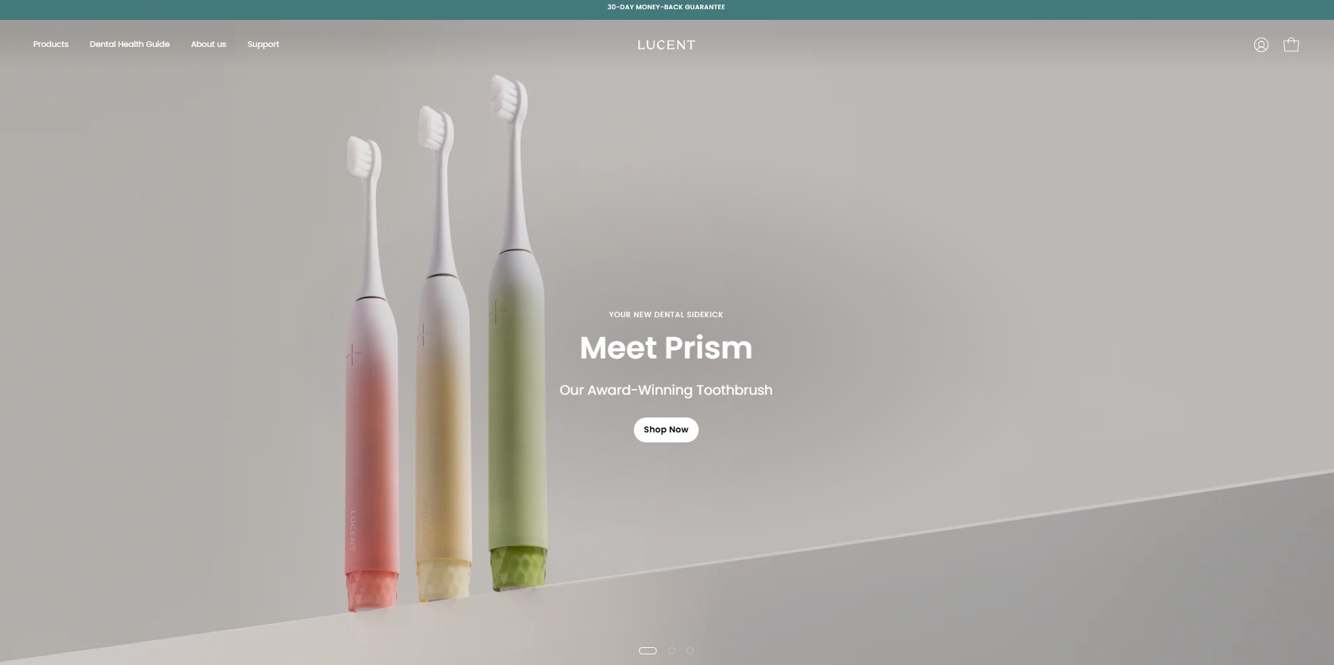 Partnerský program Be Lucent