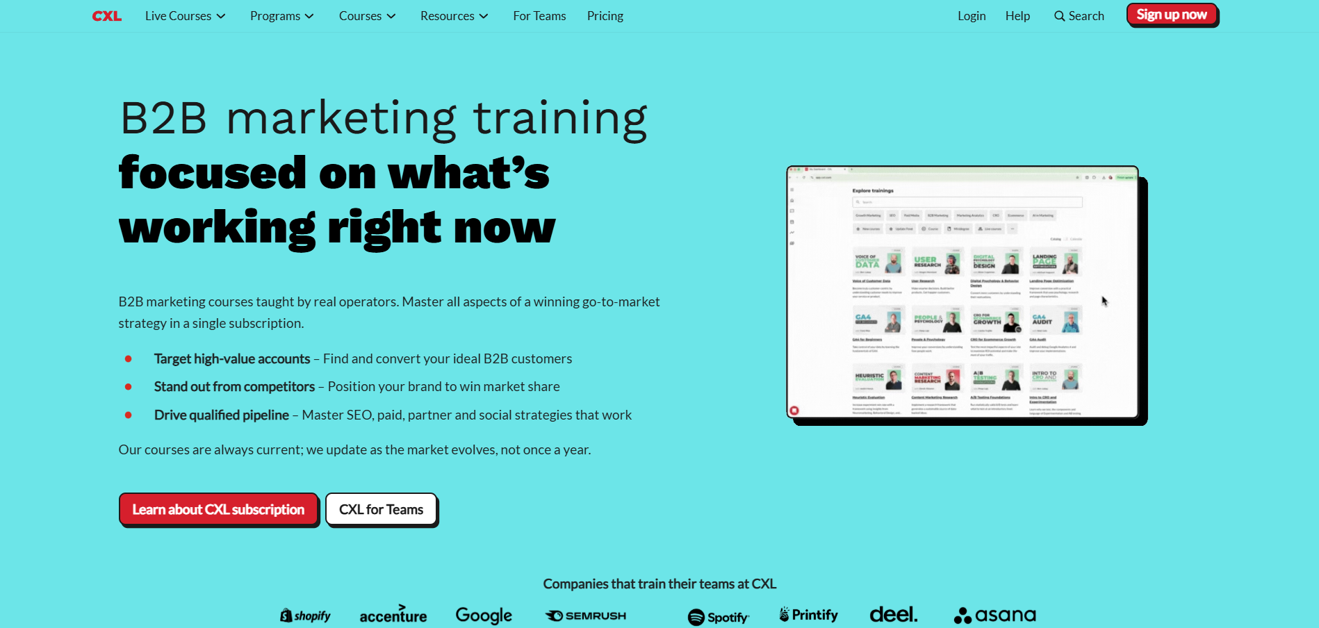 CXL affiliate program