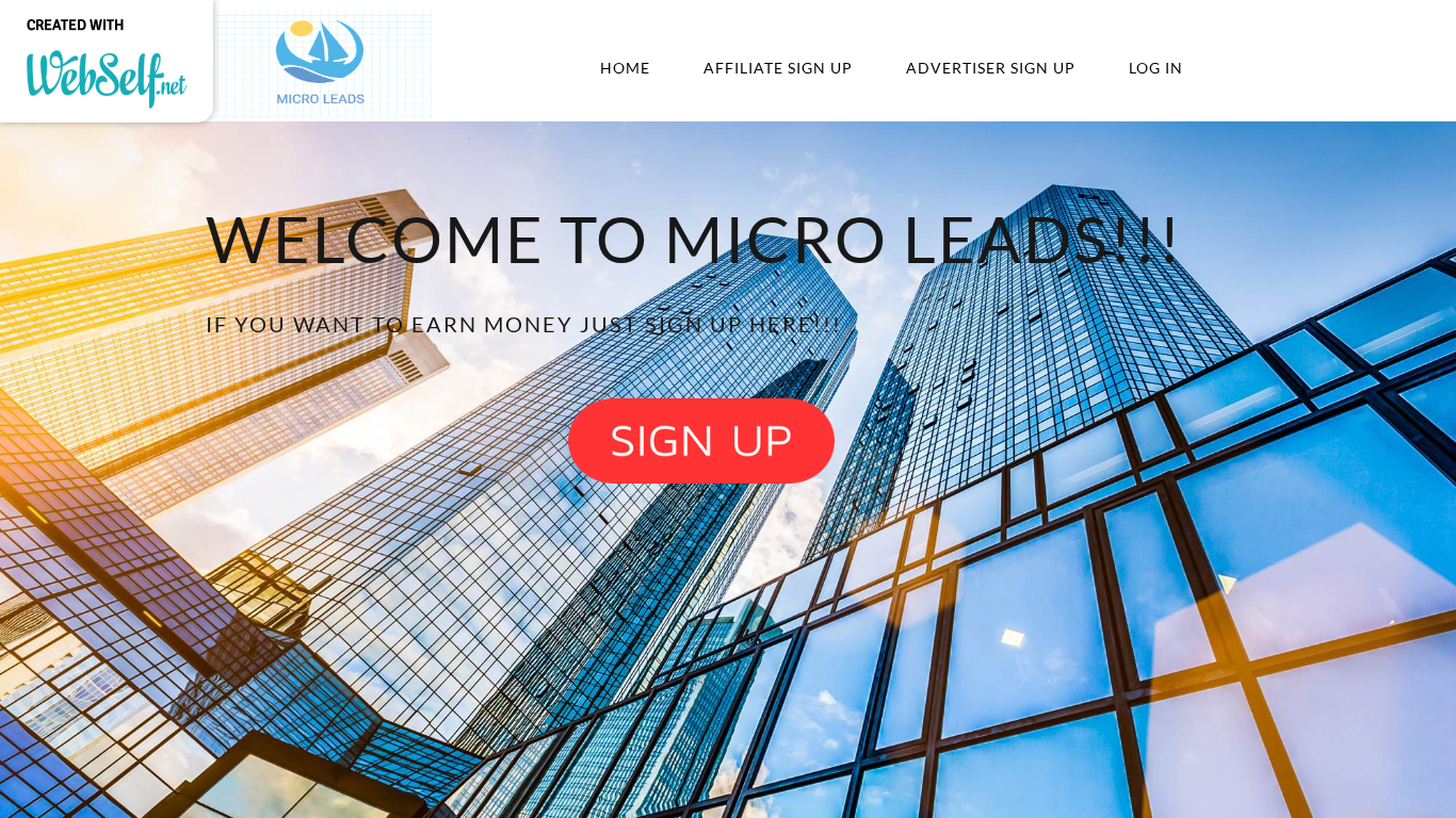 Affiliate program Micro Leads