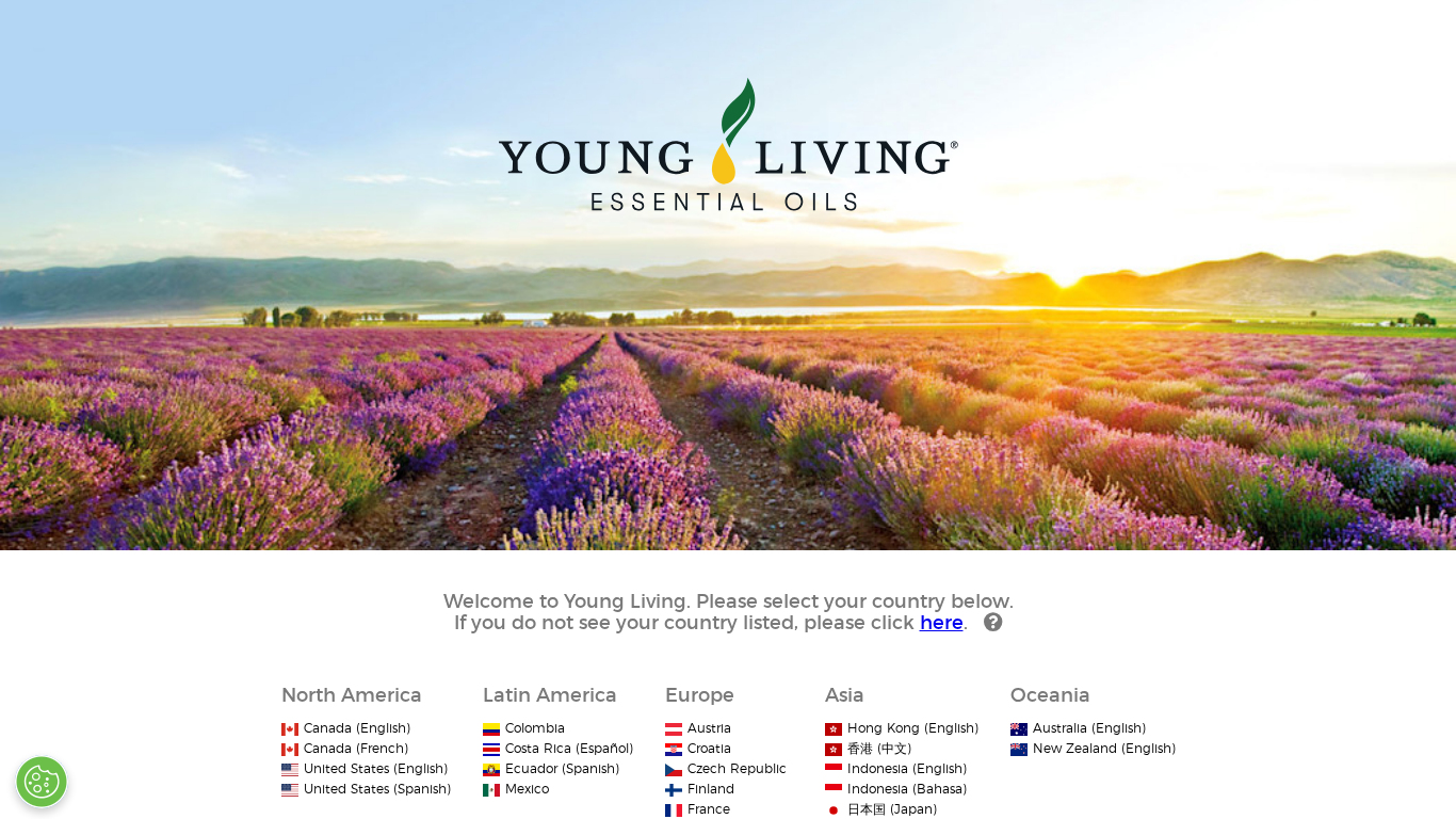 Affiliate program Young Living