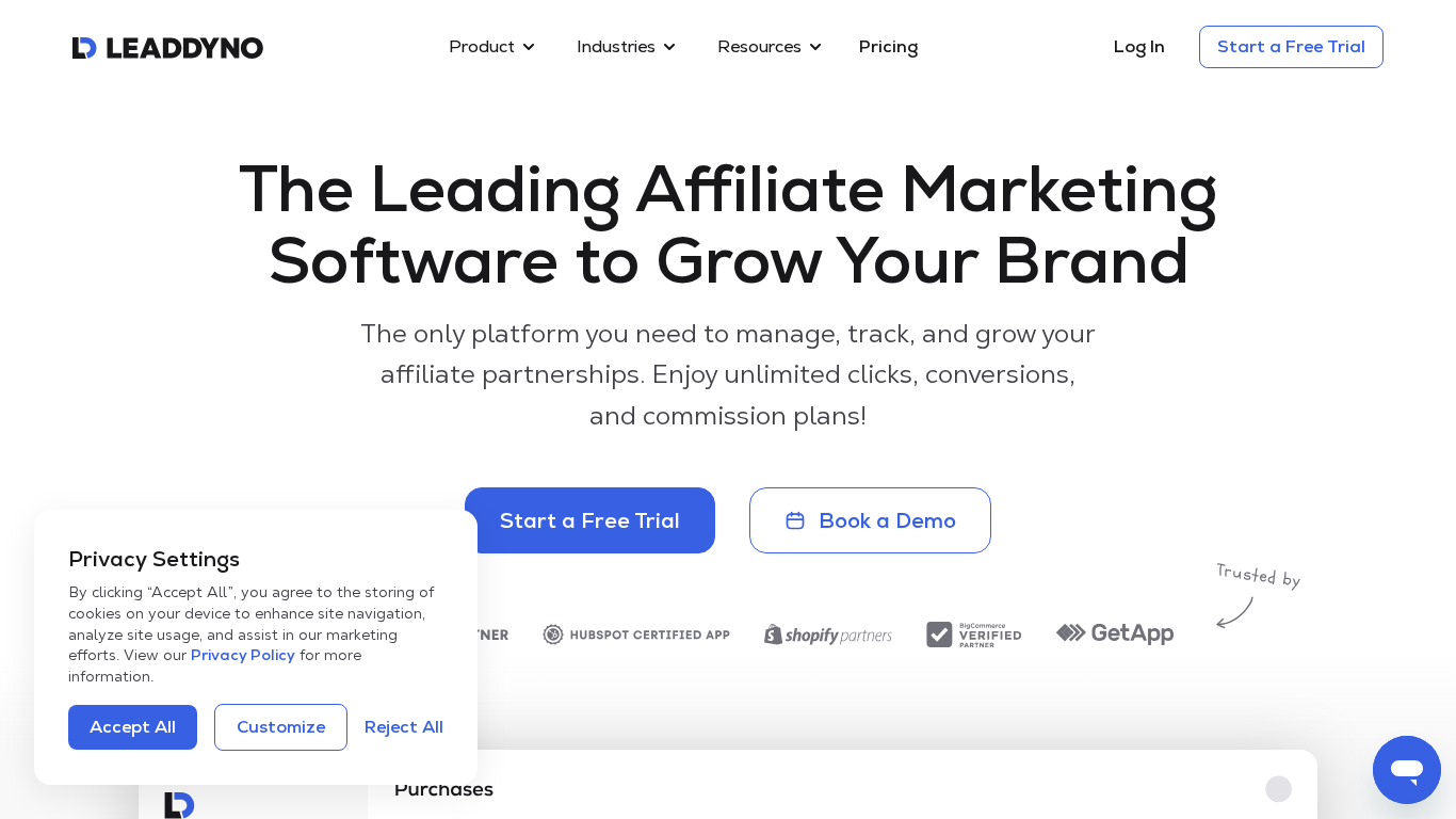 LeadDyno dashboard pre správu affiliate programu