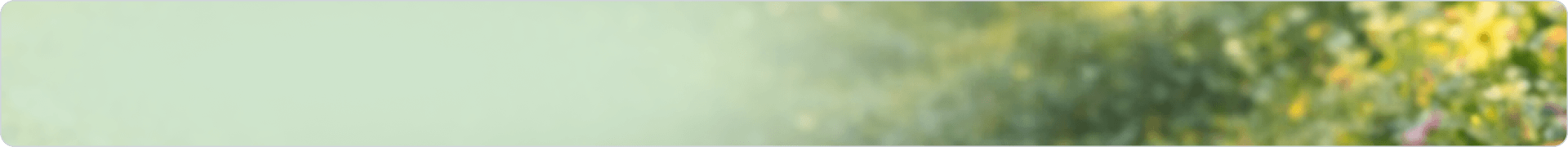 Spring promotion background